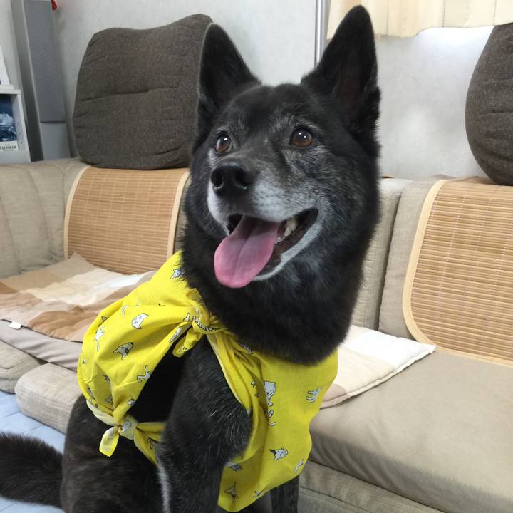 7ae7e3ab 0544 43e5 b83b 17f08a0fc6f9