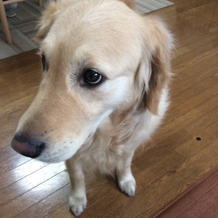 7ae7f4ae b082 4e4a b773 96c851ccca77