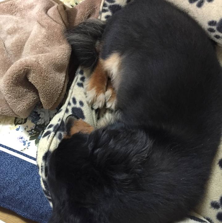 7ae8d084 6277 412b b8a5 72f7d4a4616c