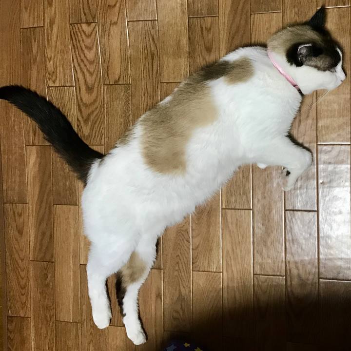 7ae94516 8d22 4e26 a6d6 fc5ed8966029