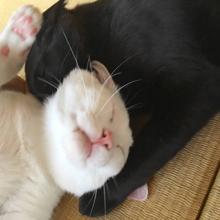 7ae9bd43 36c5 4a62 b81d ff07d4b24778