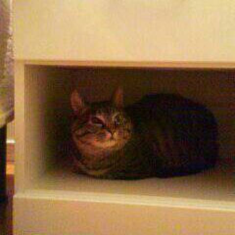 7aea61b2 4f5d 4ac1 a5a5 d24c79499cce