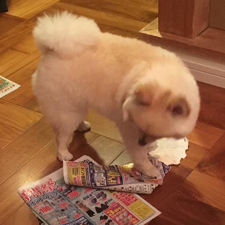 7aeac23d 10d9 457c 8c57 2389ca462f88