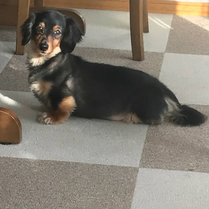 7aeae602 f9c3 4338 8516 7dd66343e896