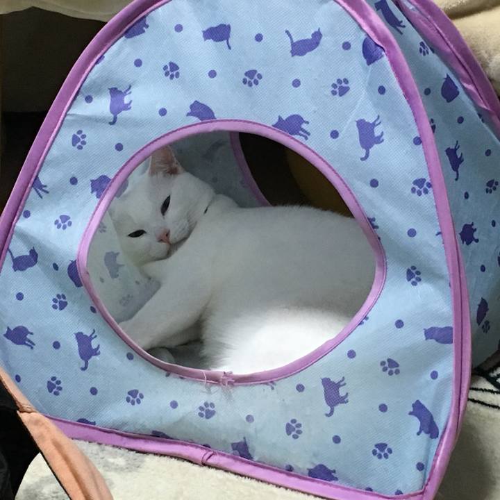 7aeb0944 0dda 4ef7 9d2e d2873144fd3d