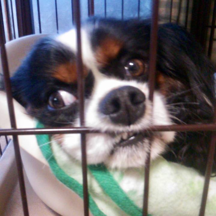 7aeb3077 71cf 4bab 8c89 258fe505d686