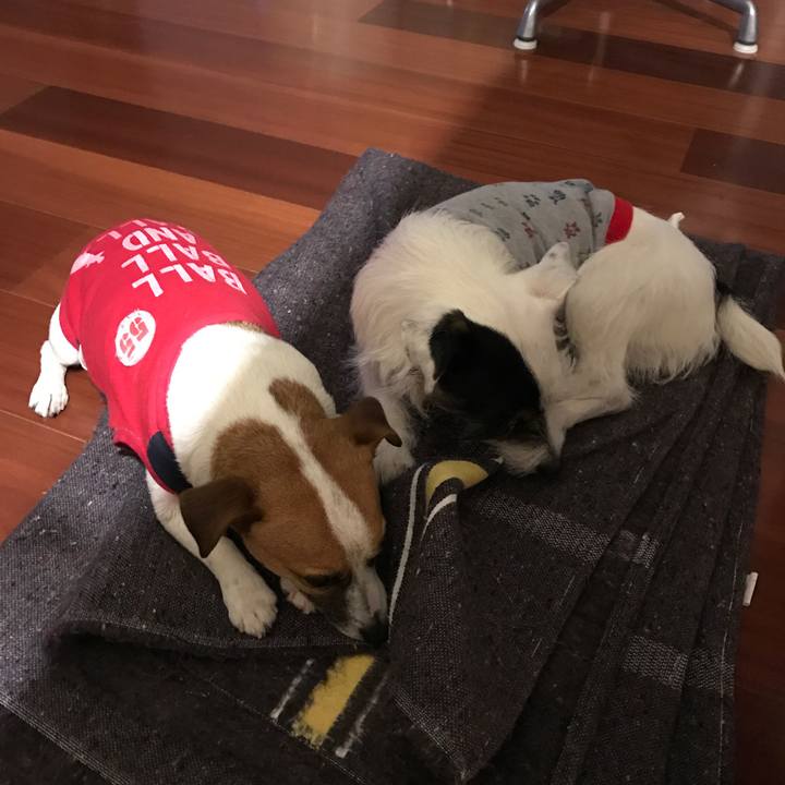 7aeb37a2 f963 43ed 93eb b21f2ec8642b