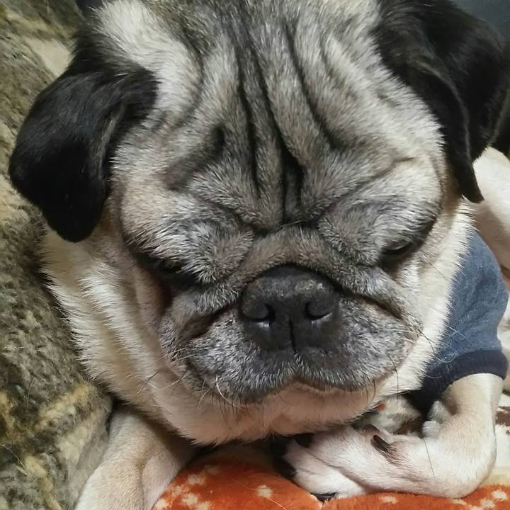 7aeb5937 d507 4a35 83b8 949192ea7f9a