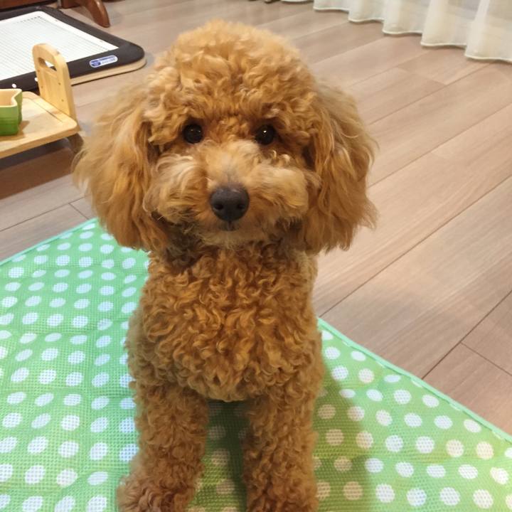 7aebf2cc 68c6 41f7 8274 137025419df3