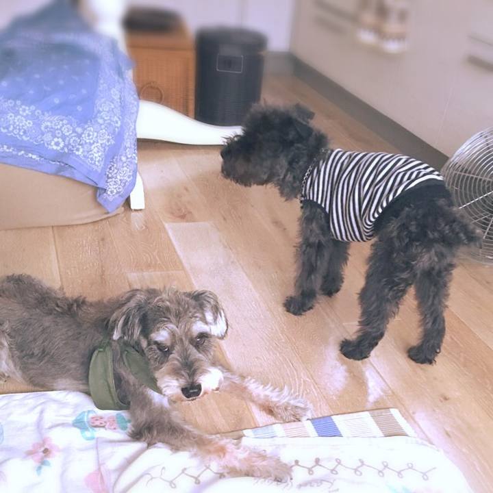 7aec9369 95b5 4518 a022 acf0273c3648