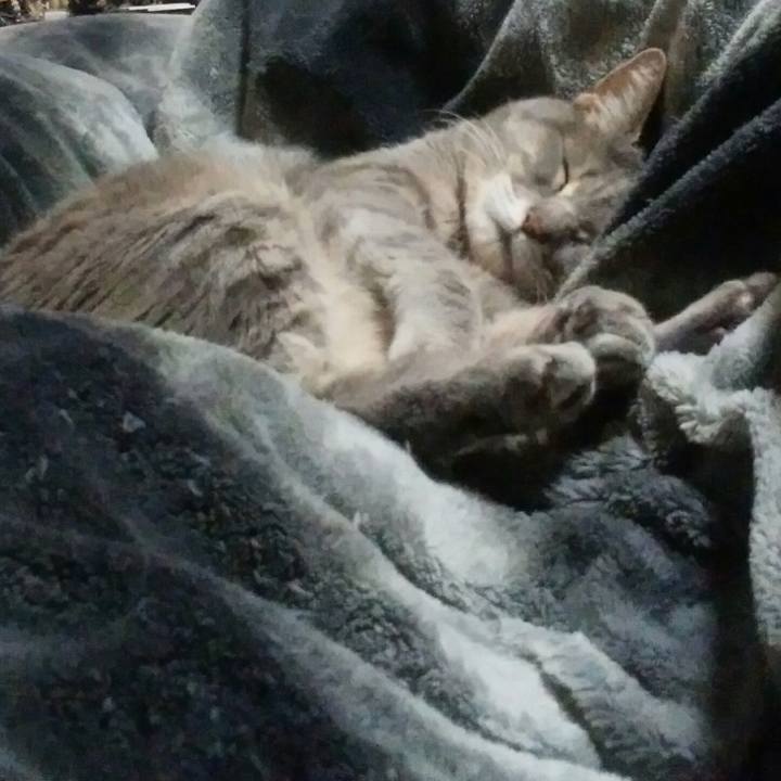 7aec9ee6 3e26 43c7 b230 84500dd17213