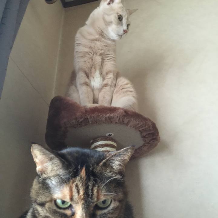 7aed86c8 4231 459c 9f7b 7f12ecc6e2fe