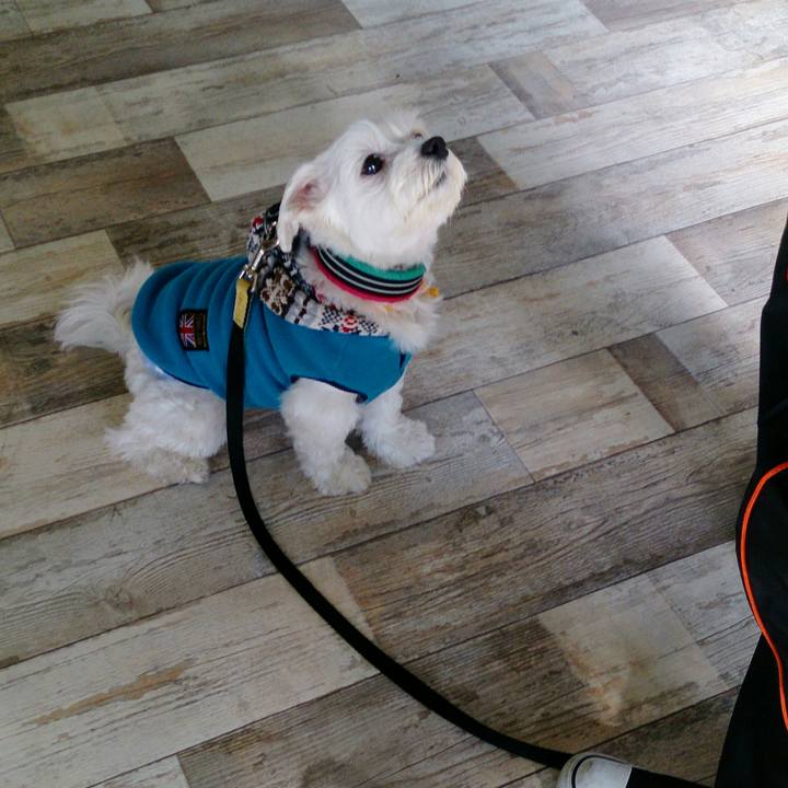 7aee19d6 e9b2 4df7 970b d5371acb4bf8