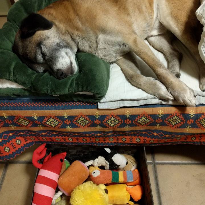 7aee5372 dbaa 467b aa26 9d756523fdd7