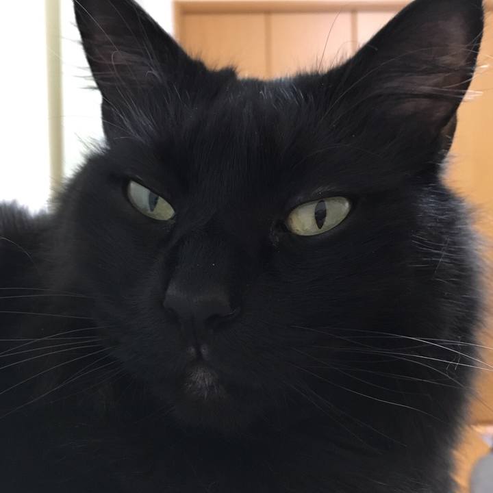 7aeef2ce cdc8 44fb 874b 8e6c85795c11