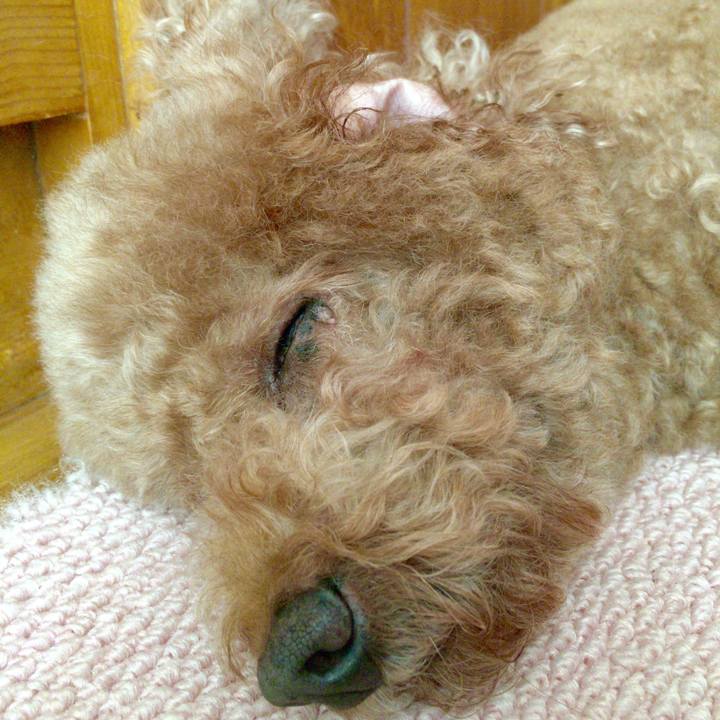 7aeeff74 74ca 460a b72b 6318d99ee15f