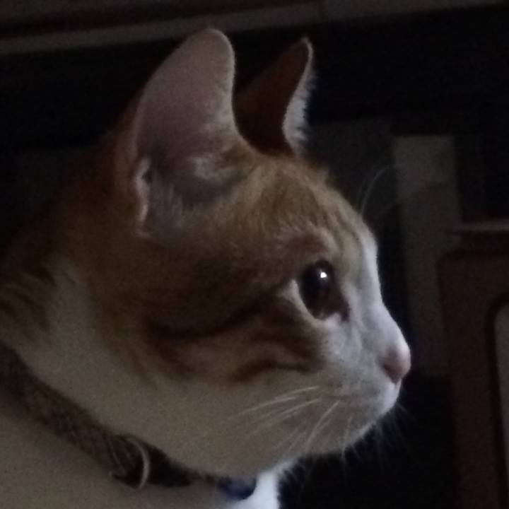 7aef7a29 184a 481b 8467 e887f5738319