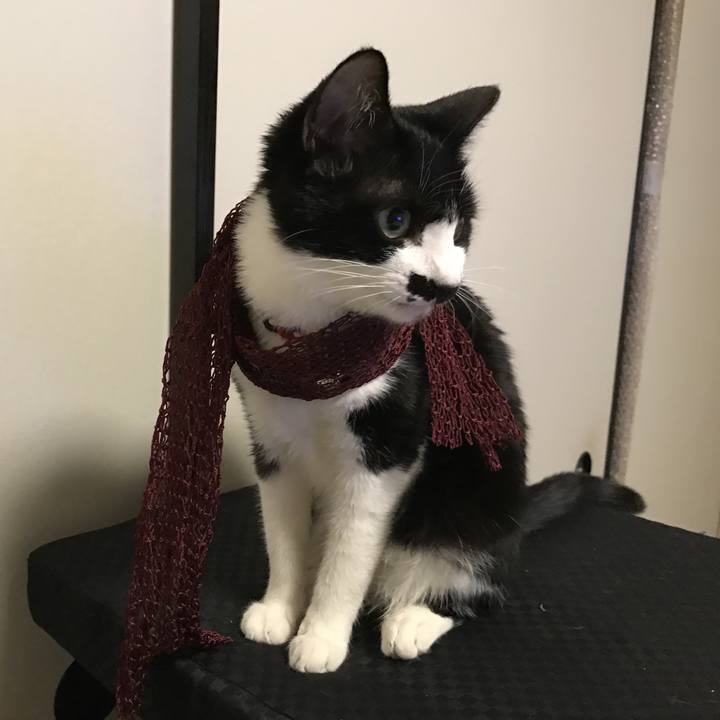 7aef9043 b15a 4321 ae67 e9495ac0c1f4