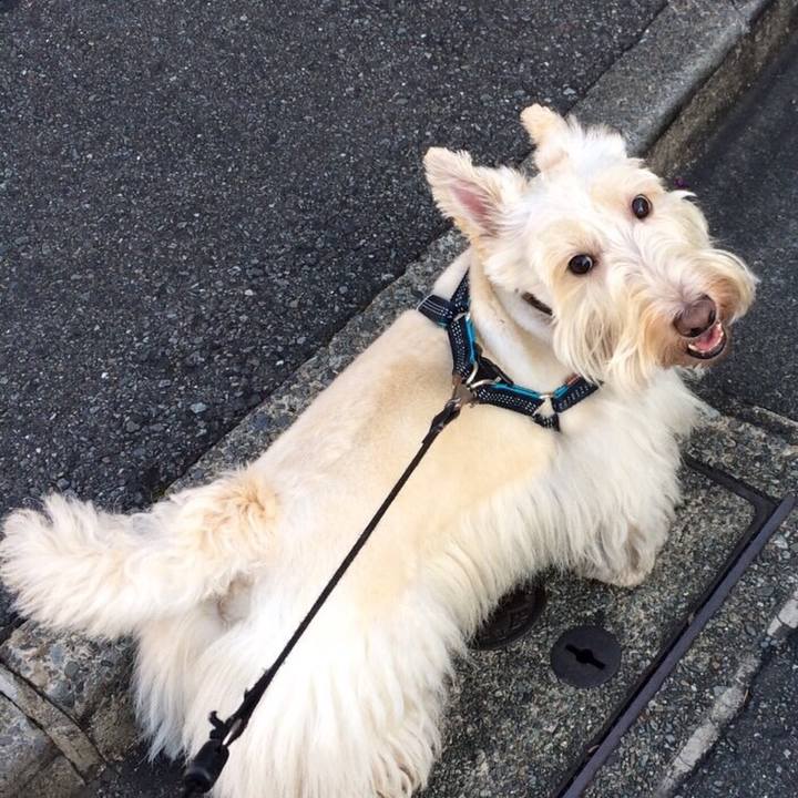 7aefb47a cd03 4b74 943a 3b925402bbcb