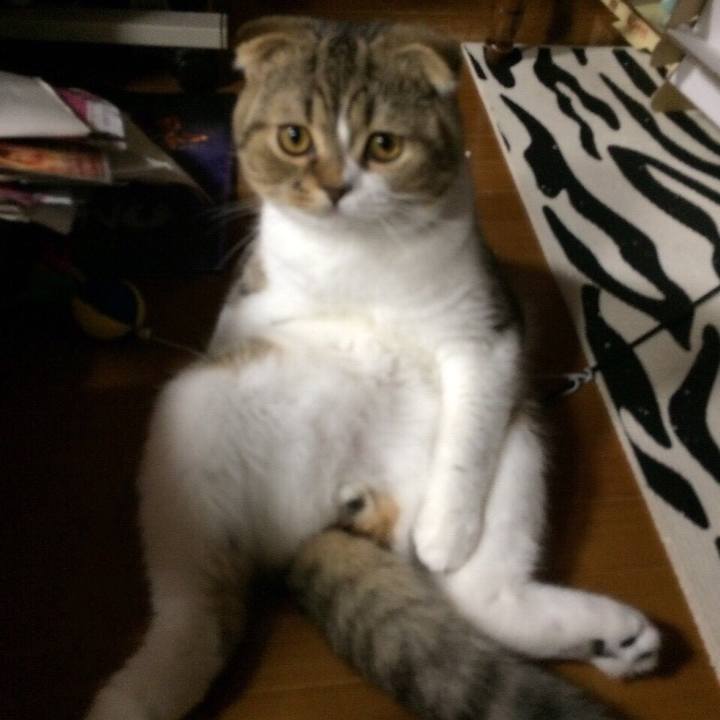 7aefd320 ac47 44de aad2 6a5f2de7e28b