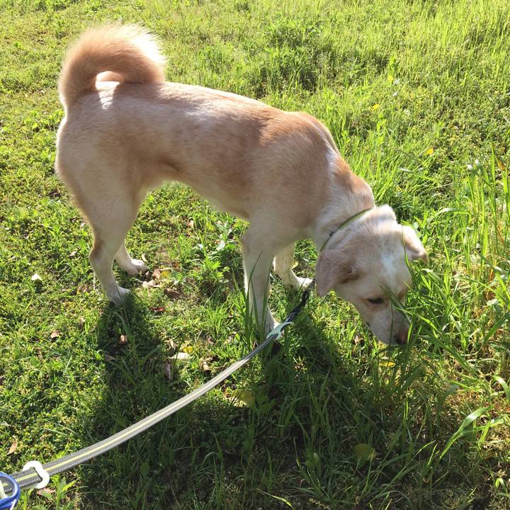 7aefe47f 73b5 441b 80e6 42821bcd1ba5