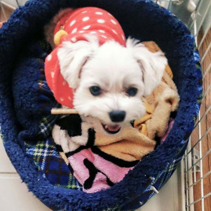 7af021a0 84dc 4fba ba9a dffd9ac0ff74