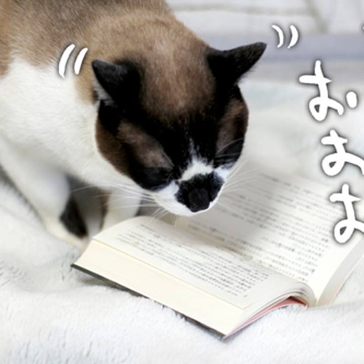 7af0a7e5 c7ab 43c2 9de5 41ace954e09e