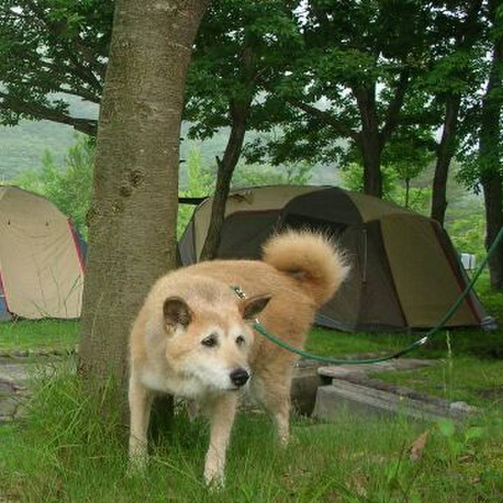 7af0a8b9 97fd 49d8 ada8 f37e027a73c3