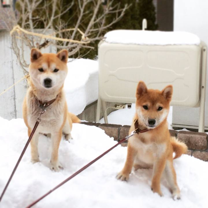 7af0d405 fdfb 4e0e 8b60 ab328133e16b