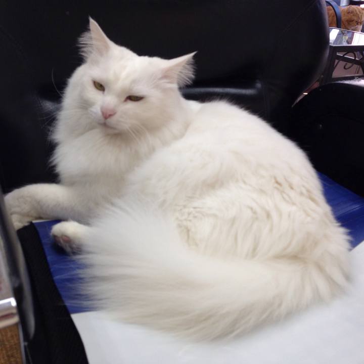 7af0eb3d f03a 424f 8e26 30feba0b1d8f