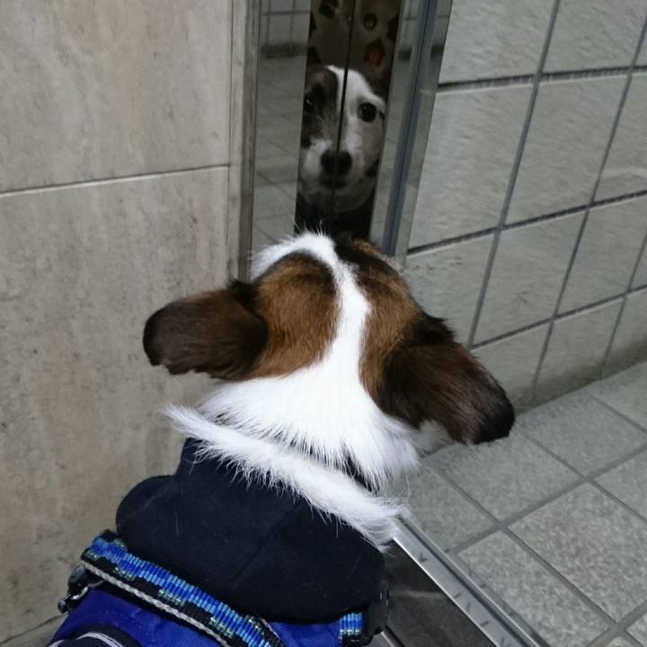 7af2357c 512f 448d b9ca 31d5b18b8bb5