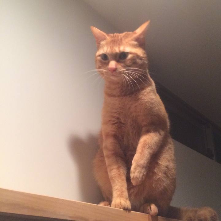 7af24c56 1ad5 40d7 964d 86c8f179dff1