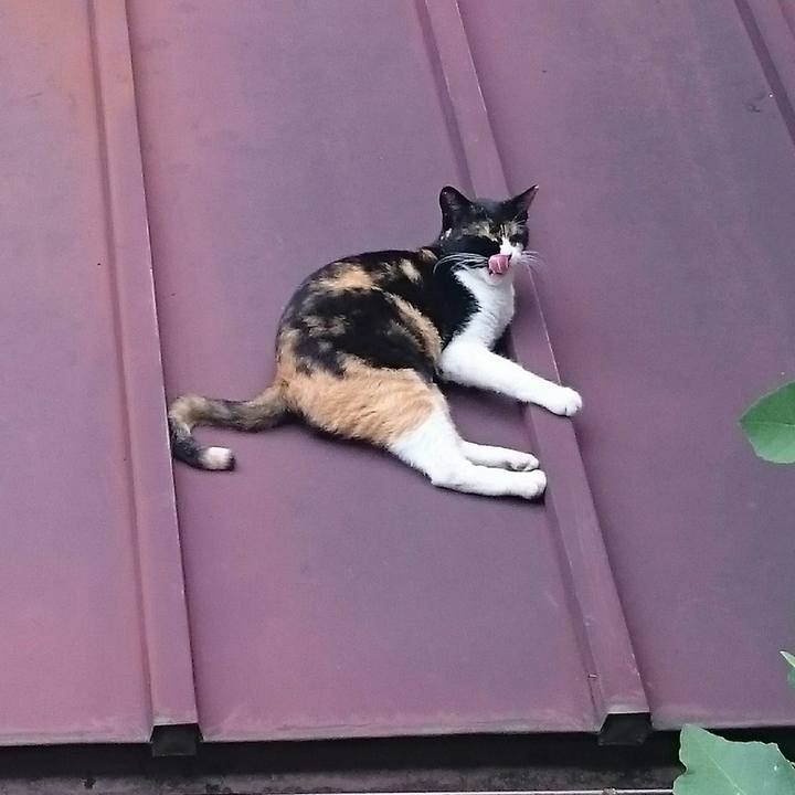 7af3967b f9a0 4691 a801 17093c367fc7