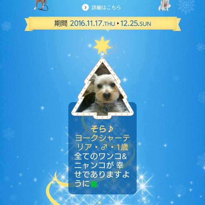 7af3ad55 9a07 49dc abc4 639e24ee3b67