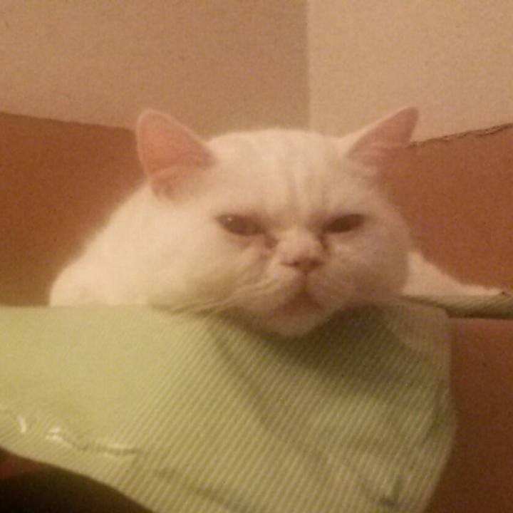 7af3c433 1e2f 4c60 b823 c57653b0708e