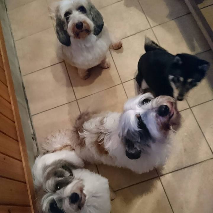 7af52c58 8211 47bf b64f 4e67e47cceb0