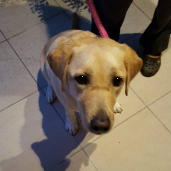 7af56640 20f6 41d1 99d2 226f7fe55240