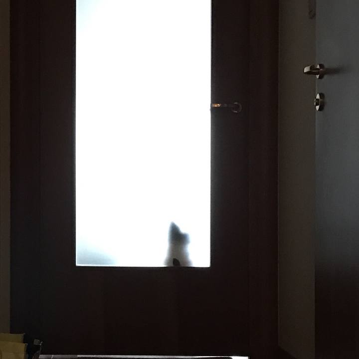 7af5a91a 1575 416c 8502 55e8e46c71c9