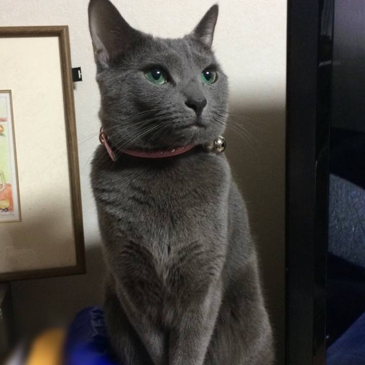 7af5d0f2 8676 49f2 ae9a 35a4edd15d7a