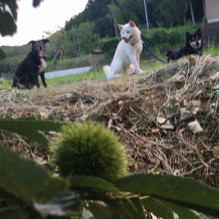 7af68527 b2ec 41ac 8d7d cfbeadac8341