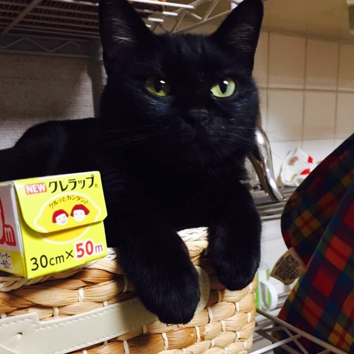 7af6b3d6 b26e 4a74 ba67 ffdbff6d4926