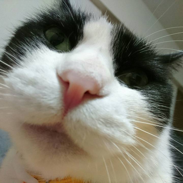 7af6f47b 6693 45af 9df4 b55f5936f36c