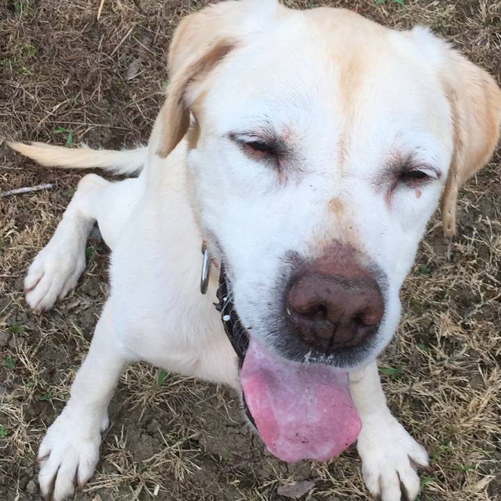 7af70c3c 64ce 4af1 8932 3dc952654cba