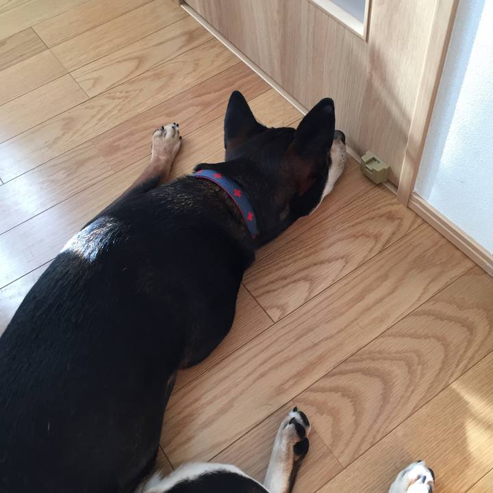 7af70dbb ae61 4fab a6b4 0a0578623224