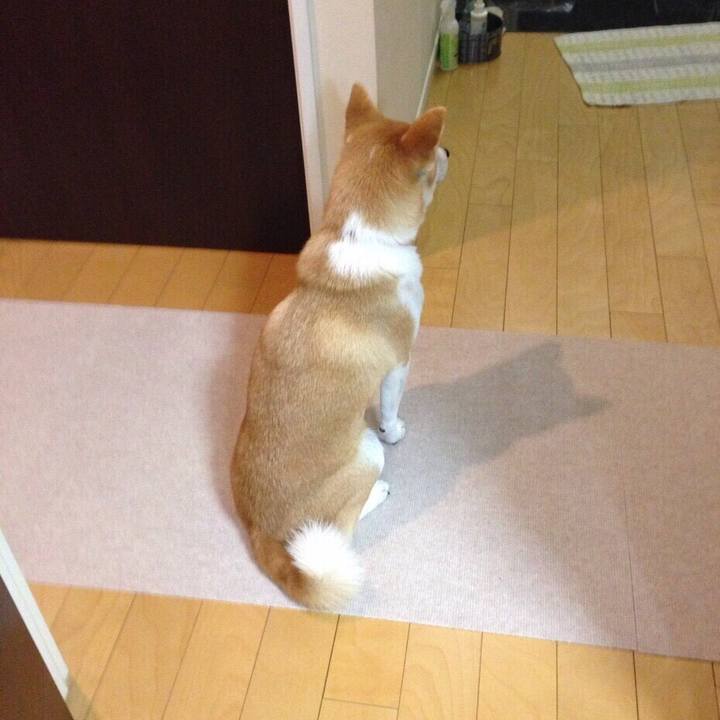 7af71f9b bc33 426b aae3 9131c0c246c8