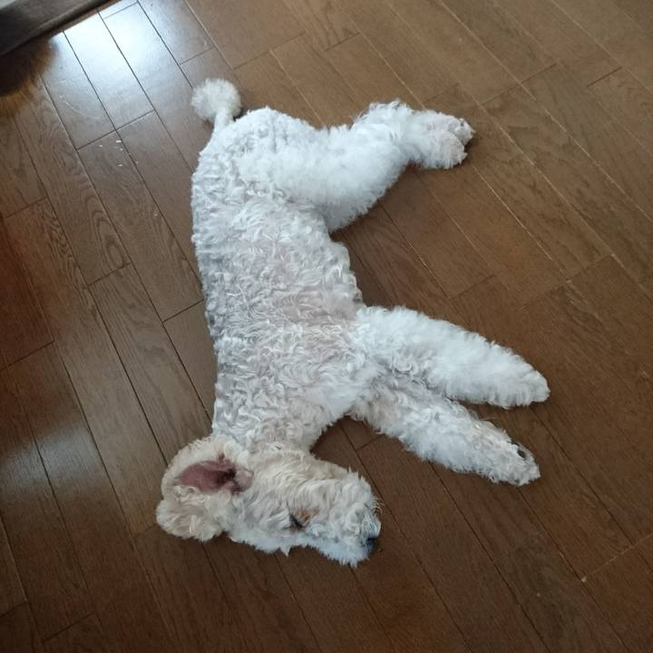 7af746d3 712d 47c9 ab38 364c7d753c2a