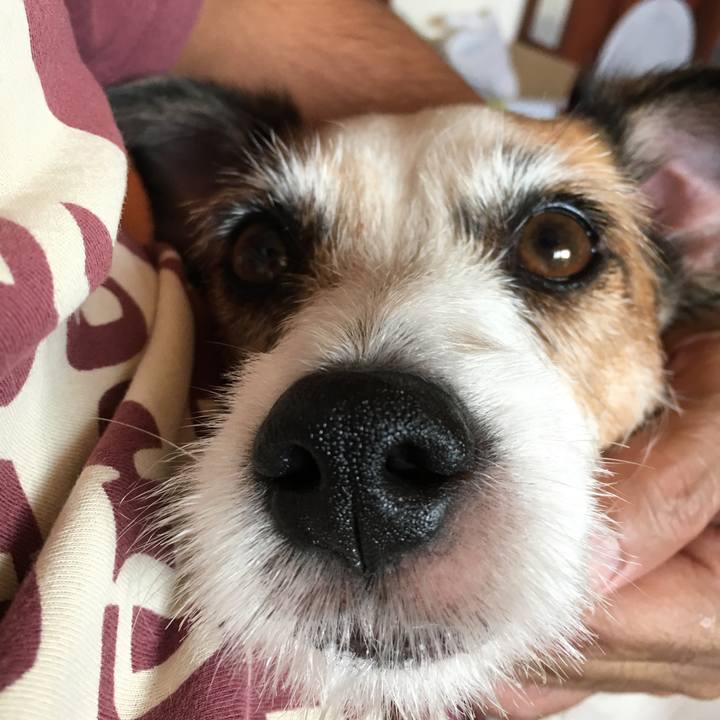 7af7480e 7f10 4bba 8017 196bf2a80516