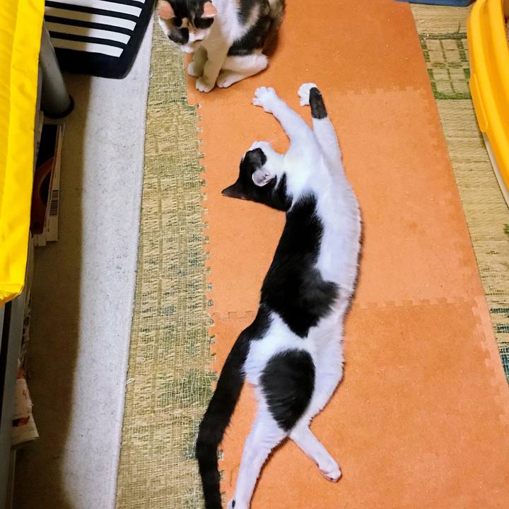 7af80f83 44ec 44ab b345 e635ebc327bb