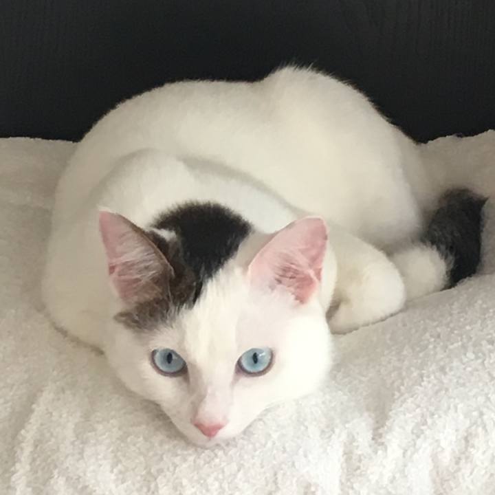 7af81e92 c4ac 4e62 9bd3 cfb1db23606d