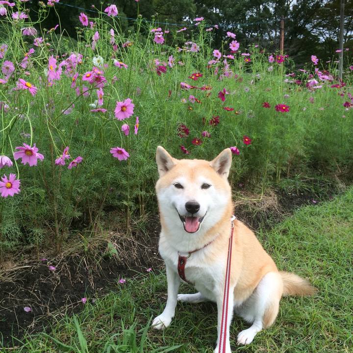 7af94563 4bc1 4c8a b823 10c11660e39e